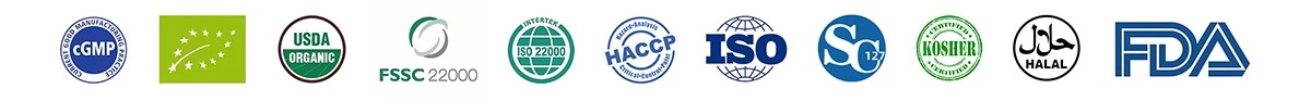 certificate logo certificate logo